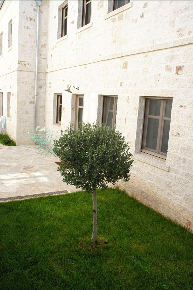 Haones Suites Ioannina Bagian luar foto